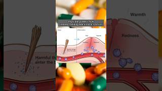 Medicines Used for Pain 🤧 Inflammation Fever  NSAIDS nsaids painkiller pharmacy pharmcraze [upl. by Auohs45]