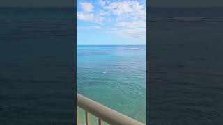 Oceanfront view at OUTRIGGER Reef Waikiki Beach Resort [upl. by Giles]