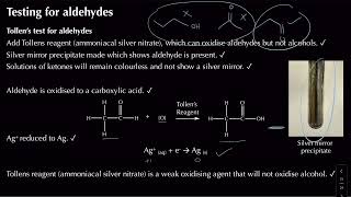 Testing for Carbonyls  Module 6 Organic Chemistry and Analysis  Chemistry  A Level  OCR A [upl. by Jemima115]