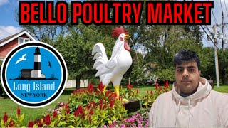 Bello Poultry Market Vlog  Long Island NY [upl. by Enidlareg]