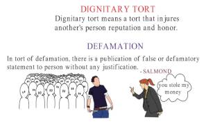 law of torts  Types of tort [upl. by Attenol37]