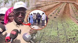 Visite du Ministre de lagriculture Dr Mabouba DIAGNE au Champs Agroseed quoton va signé dans un mois [upl. by Acirretal]