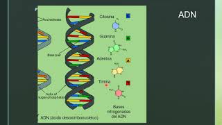 Fundamentos de la biologia molecular [upl. by Ravi940]