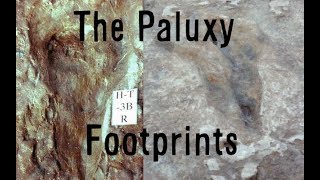 Do the Paluxy River Tracks prove Dinosaurs and Humans coexisted [upl. by Eivets811]