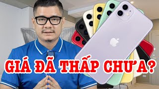 Tư vấn điện thoại iPhone 11 GIÁ THẾ NÀY ĐÃ ĐỦ THẤP ĐỂ MUA CHƯA [upl. by Snebur]