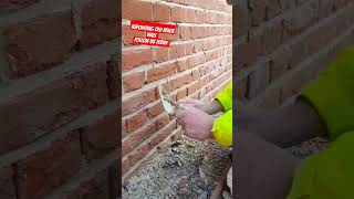 REPOINTING OLD BRICK WALL FOLLOW US TODAY [upl. by Norvin]