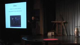 Vertical Farming Now a Reality Dickson Despommier at TEDxBermuda [upl. by Ash]