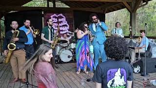 The Savants of Soul  Son Be Strong LIVE Swampfest March 2024 [upl. by Lambart]