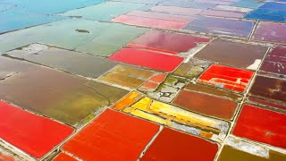 Salt lake in northern China turns into giant multicolored palette [upl. by Aennaej]