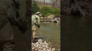 Owl Creek WY fishing trout Wyoming [upl. by Ewell]