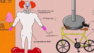 APPRENDRE MYCOPLASMA PNEUMONIAE EN MOINS DE 5 MINUTES  BACTISTORY [upl. by Eillit]