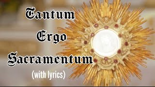 Tantum ergo Sacramentum lyrics Holy Hour HymnEucharistic Adoration Chant Catholic [upl. by Goth578]