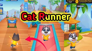 Billi Wala Game Billi Wala Game Billi Wala Game  Cat runner gameplay [upl. by Atinwahs]