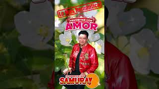 Grupo Samuray  Todo Por Tu Amor [upl. by Nesyrb]