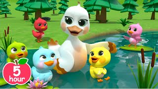 5 Little Ducks Song Learn Colors  more Newborn Baby Songs amp Nursery Rhymes [upl. by Ahseinar353]