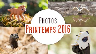 PHOTOS PRINTEMPS 2016 [upl. by Notsag]