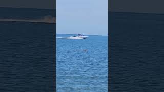 BOAT SPEEDING FUN IN THE GULF OF MEXICO VENICE FLORIDA [upl. by Frisse]