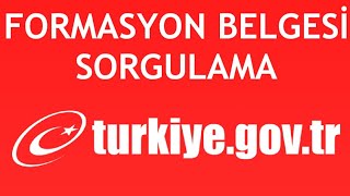 EDevlet Formasyon Belgesi Sorgulama Nasıl Yapılır [upl. by Acsehcnarf]