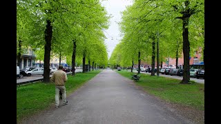 Beautiful avenue in Östermalm with a fountain Karlavägen Stockholm Sweden [upl. by Niliram177]