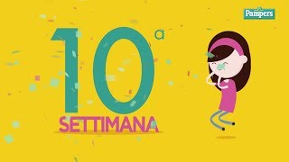 10° settimana di gravidanza [upl. by Dexter]