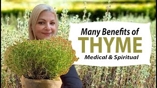 Thyme Benefits  Many uses Medical  Spiritual  Culinary  Properties of the Herb Thyme [upl. by Assirec988]