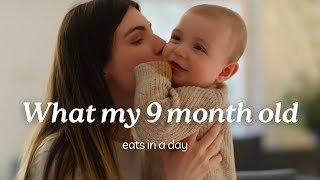 What my 9 month old eats in a day  Little Étoile Baby food pouches review  Testimonial blw baby [upl. by Lannie221]