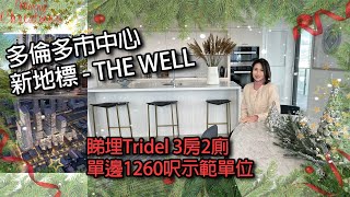 ✨多倫多地產✨Downtown新地標  THE WELL \ 睇埋 Tridel 3房2廁單邊1260呎示範單位 \ 無敵King West景色 ​多倫多地產 [upl. by Simdars]