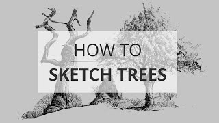 How to Sketch amp Draw Trees [upl. by Shandie308]