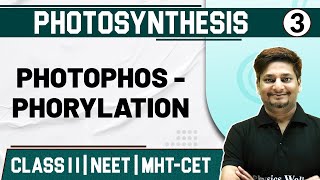 PHOTOSYNTHESIS 03  Photophosphorylation  Botany  Class11thMHTCETNEET [upl. by Assirram]