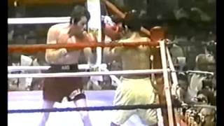 Danny Lopez vs Mike Ayala Fight of the Year 1979 [upl. by Ellesij]