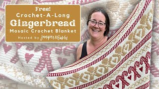 The Most Popular Crochet Blanket You Need to Make This Season [upl. by Hocker]