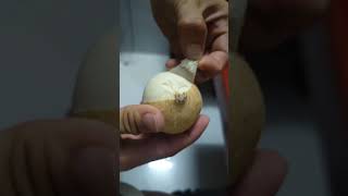 How to Peel Jicama fruit jicama fruit food [upl. by Nonnahc]