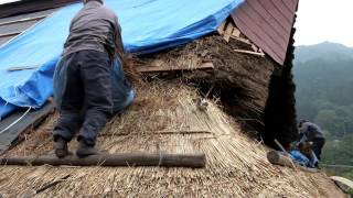 Thatch Roof Construction [upl. by Giustina]