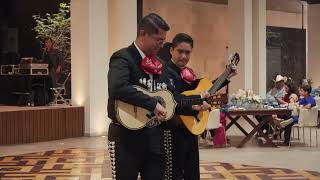 El Cascabel  Mariachi Sangre Mexicana de Manuel Vargas [upl. by Milburr]