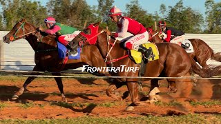 EL 53  400m  GP Debutantes Sprint  Hipódromo de Artigas  10112024 [upl. by Ynamad]