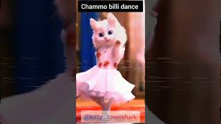 🥰Chammo billi ka gajab dance 🥰❤️trending shortvideo youtubeshorts aicat cat [upl. by Naletak828]