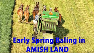 Amish Farmer  Lancaster Countys AMISH LAND Mixing quotModernquot amp Traditional Spring Baling Cover Crop [upl. by Mayeda]