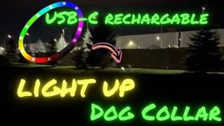 Light up dog collar thats USBC rechargable [upl. by Marcile]