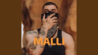 MALLI Butrint Imeri [upl. by Olegnad]