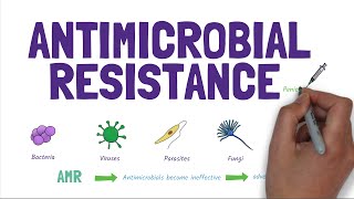 Antimicrobial Resistance AMR Stopping the rise of superbugs [upl. by Nnaecarg]