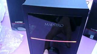 Maestro Volante 21 Computer Speaker System Unboxing and quick Test [upl. by Pudendas307]