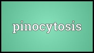 Pinocytosis Meaning [upl. by Bates494]