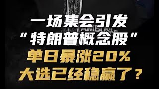 一场集会引发“特朗普概念股”单日暴涨20 大选已经稳赢了？ 特朗普  美股  经济  金融  财经 [upl. by Phelgen]