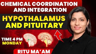 Hypothalamus and Pituitary  Chemical Coordination and Integration Detailed class  Ritu Rattewal [upl. by Ecinehs]