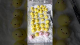 Little chicksquishy chick stressfree stressrelief diycraft diy decompression cuye squishy [upl. by Llenor]