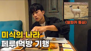 알파카 등심을 먹어보다 페루 먹방 기행 feat 고산병ㅣ🇵🇪페루5 [upl. by Haseena165]