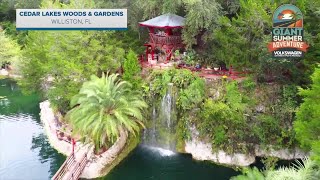 Cedar Lakes Woods and Gardens in Williston FL  Giant Summer Adventure [upl. by Ocin312]