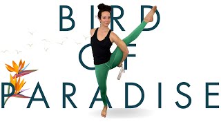 How to Do Bird of Paradise Pose  Yoga Tutorial For Beginners [upl. by Deaner]