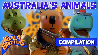 How to Draw a Koala Cartoon Simple Beginners Tutorial [upl. by Fusco]