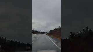 Newfoundland drivers  Sharp as liquid soap TheRealCancerMan88 automobile [upl. by Mateusz]